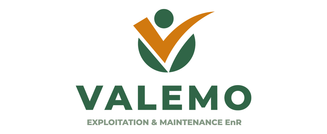 Logo du groupe Valemo